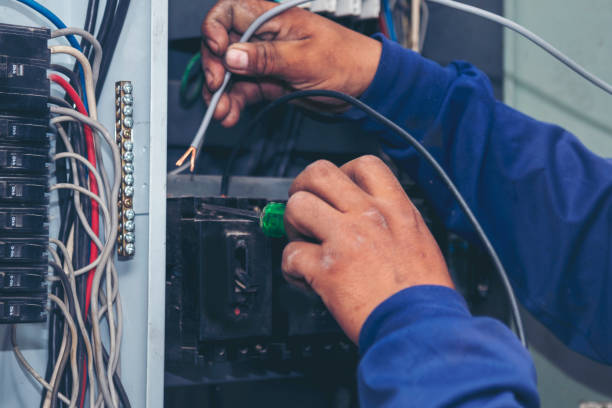 Best Generator Installation Services  in Wilson, WY